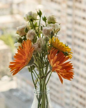 Fresh flowers in a glass vase catching the light by a window.